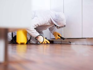 How to Choose a Pest Control Company