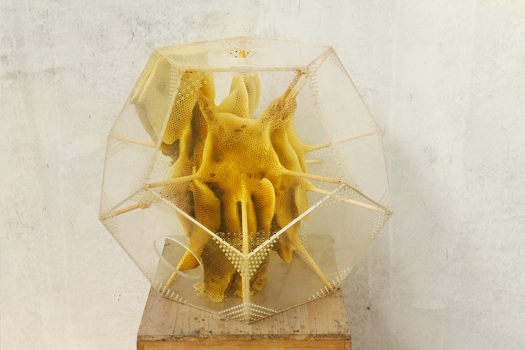 2-ren-ri-creates-stunning-sculptures-made-by-bees