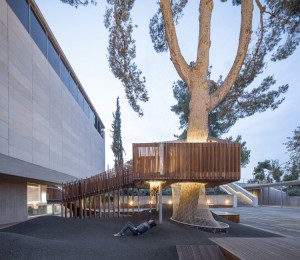 4-architects-install-a-tree-house-at-the-israel-museums-youth-wing-in-jerusalem