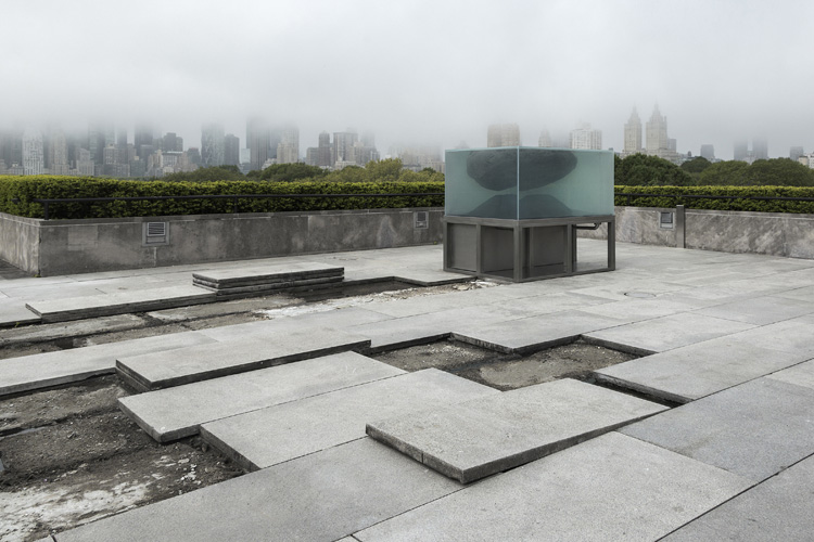 4-roof-garden-installation-by-pierre-huyghe-at-metropolitan-museum-new-york