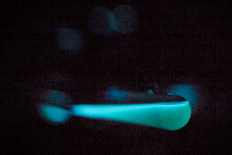 one-luminous-dot-bioluminescent-light-installation-by-teresa-van-dongen-5