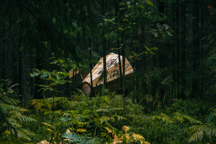 estonian-students-amplify-forest-sounds-with-giant-megaphones-10
