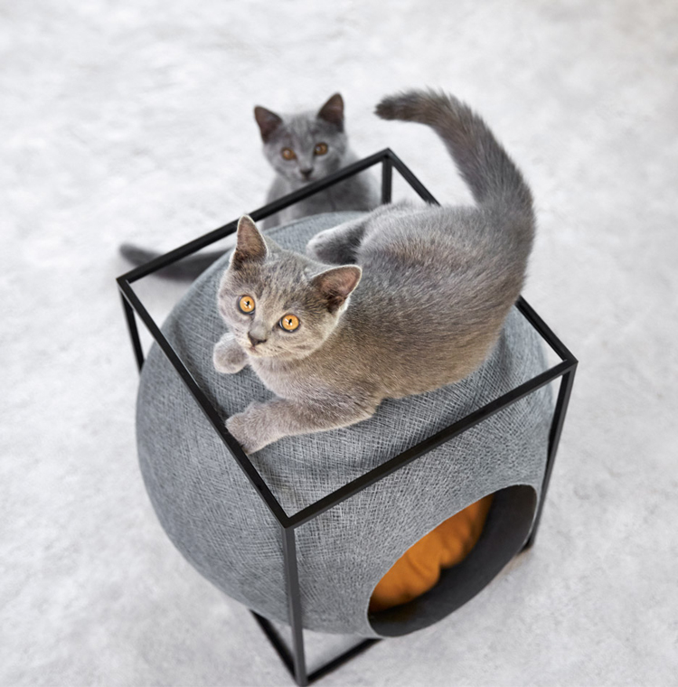 meyou-designs-stylish-cat-beds-2