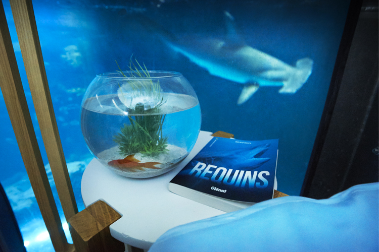 a-night-with-the-sharks-in-airbnbs-underwater-bedroom-in-paris-5