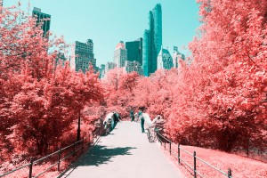 paolo-pettigiani-infrared-new-york-landscape-8