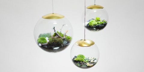 Globe - The Terrarium Lamp by Richard Clarkson Studio