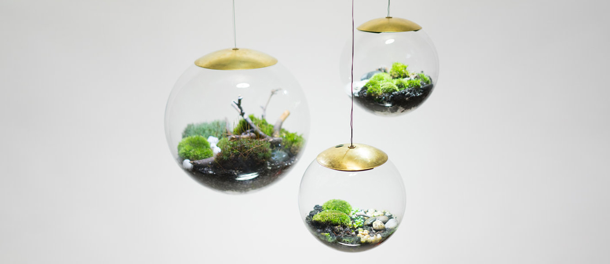 Globe - The Terrarium Lamp by Richard Clarkson Studio