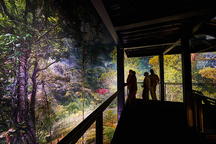 Yadegar Asisi Unveils 360° Panorama Of Amazon Rainforest