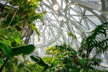 A Look Inside The Spheres at Amazon’s HQ in Seattle