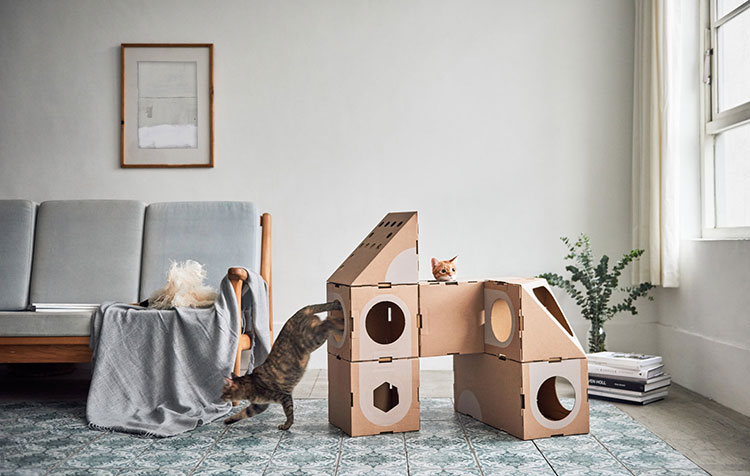A Cat Thing Creates Modular Cardboard Furniture Collection For Cats
