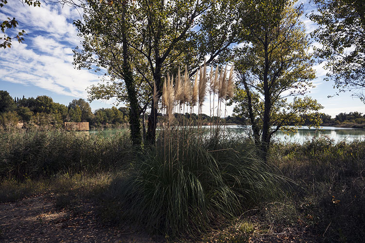 Atelier LAVIT's Wood Cabins Hotel Float On A Lake In South of France