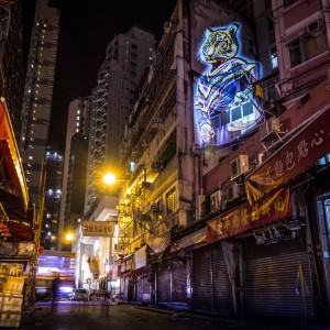 Julien Nonnon Safari Urban Hong Kong Zoodiac Series