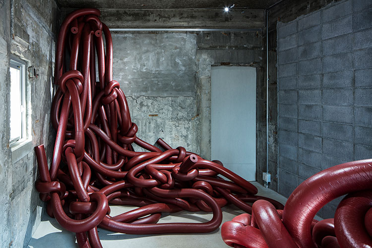 Rikako Nagashima Creates A Tangle Of Deep Red Knots In Homage To Anish Kapoor