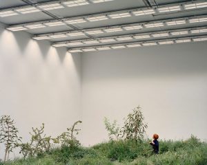 Grassland Repair, Australian Pavilion, 2018 Venice Architecture Biennale