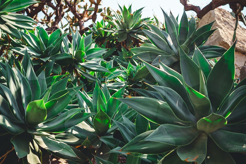 3 Easy Ways To Improve Your Garden Design