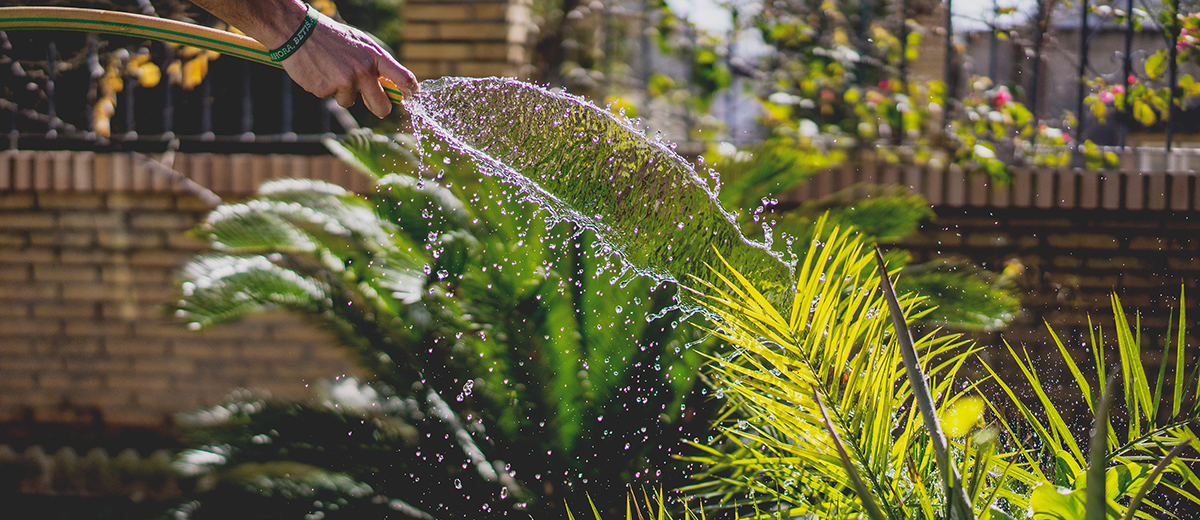 Summer Garden Projects – 3 Innovative Ideas to get you Started