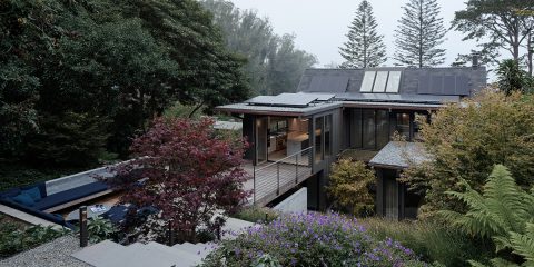 Twin Peaks Residence, San Francisco, USA / Feldman Architecture