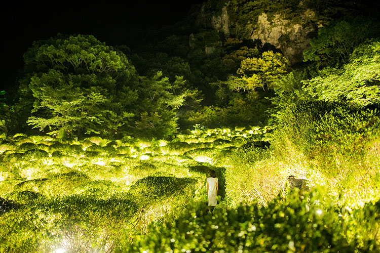 teamLab: A Forest Where Gods Live / Mifuneyama Rakuen Park