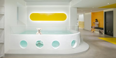 Nova Pets, Hangzhou, China / Say Architects