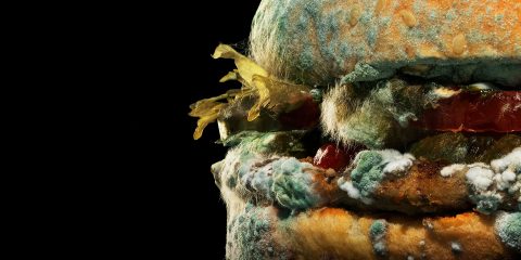 Burger King Unveils New AD Featuring Moldy Whopper