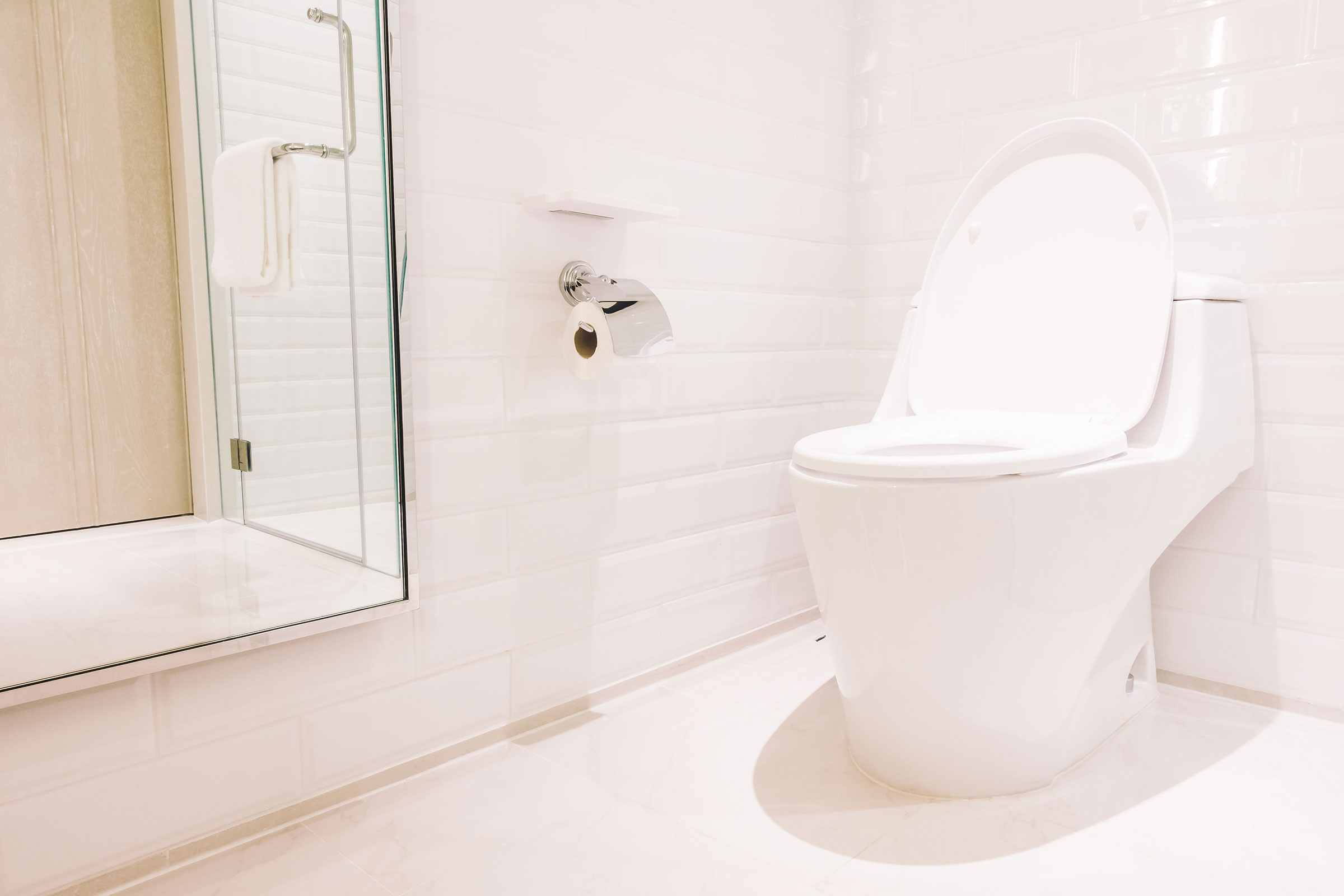 Tips for Buying the Ideal Toilet
