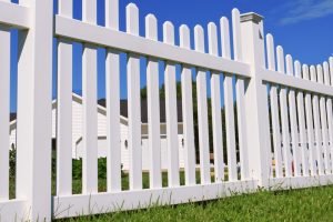 Fences vs Hedges: What's a Better Way to Set Up Those Boundaries?