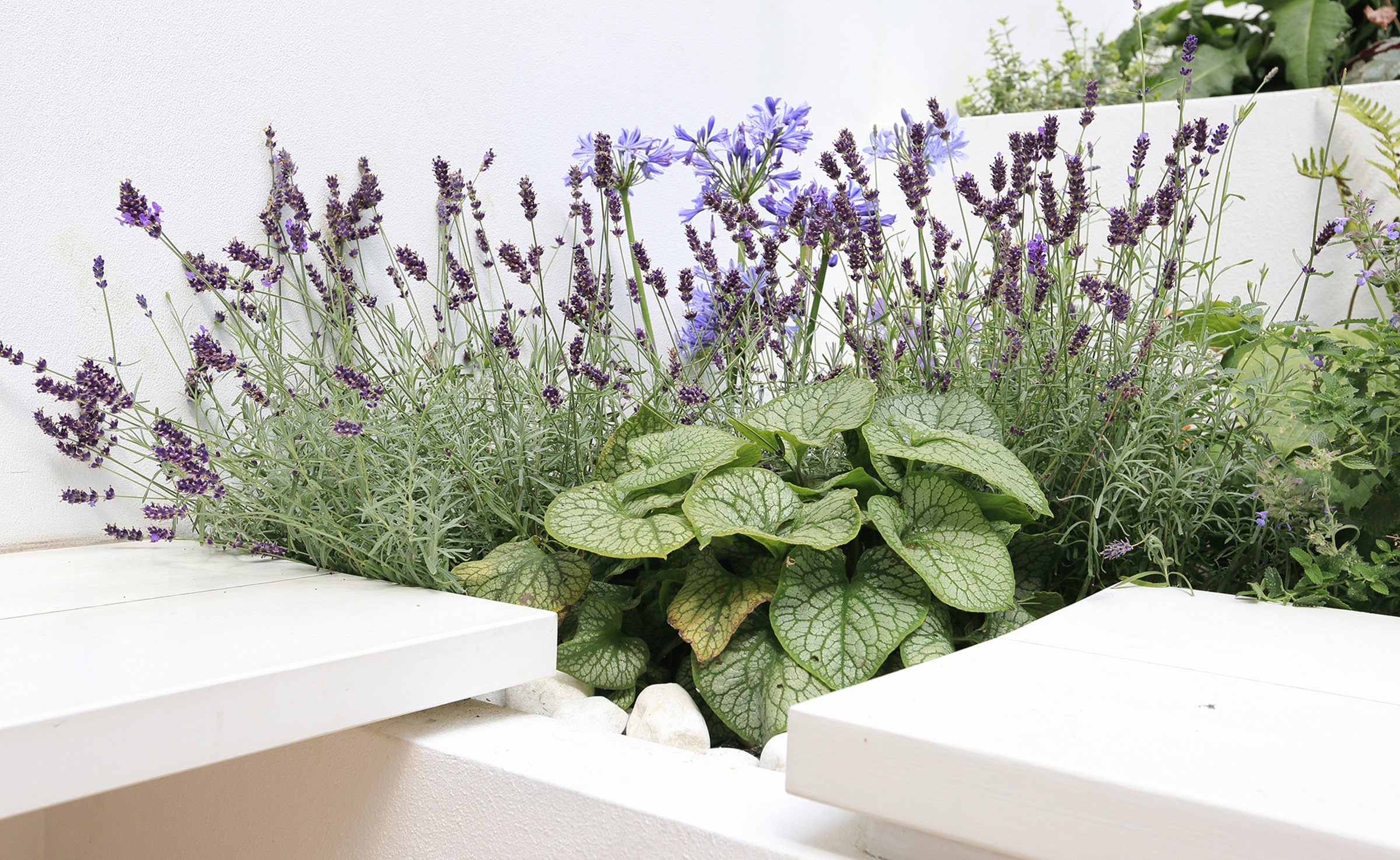 4 Tips to Prepare Your Spring Garden 