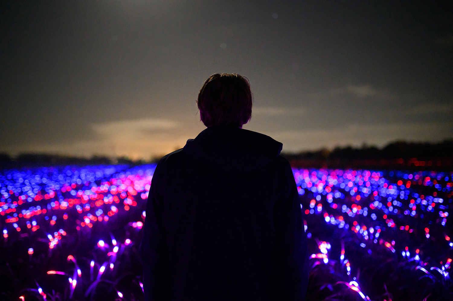 Grow Light Installation / Daan Roosegaarde