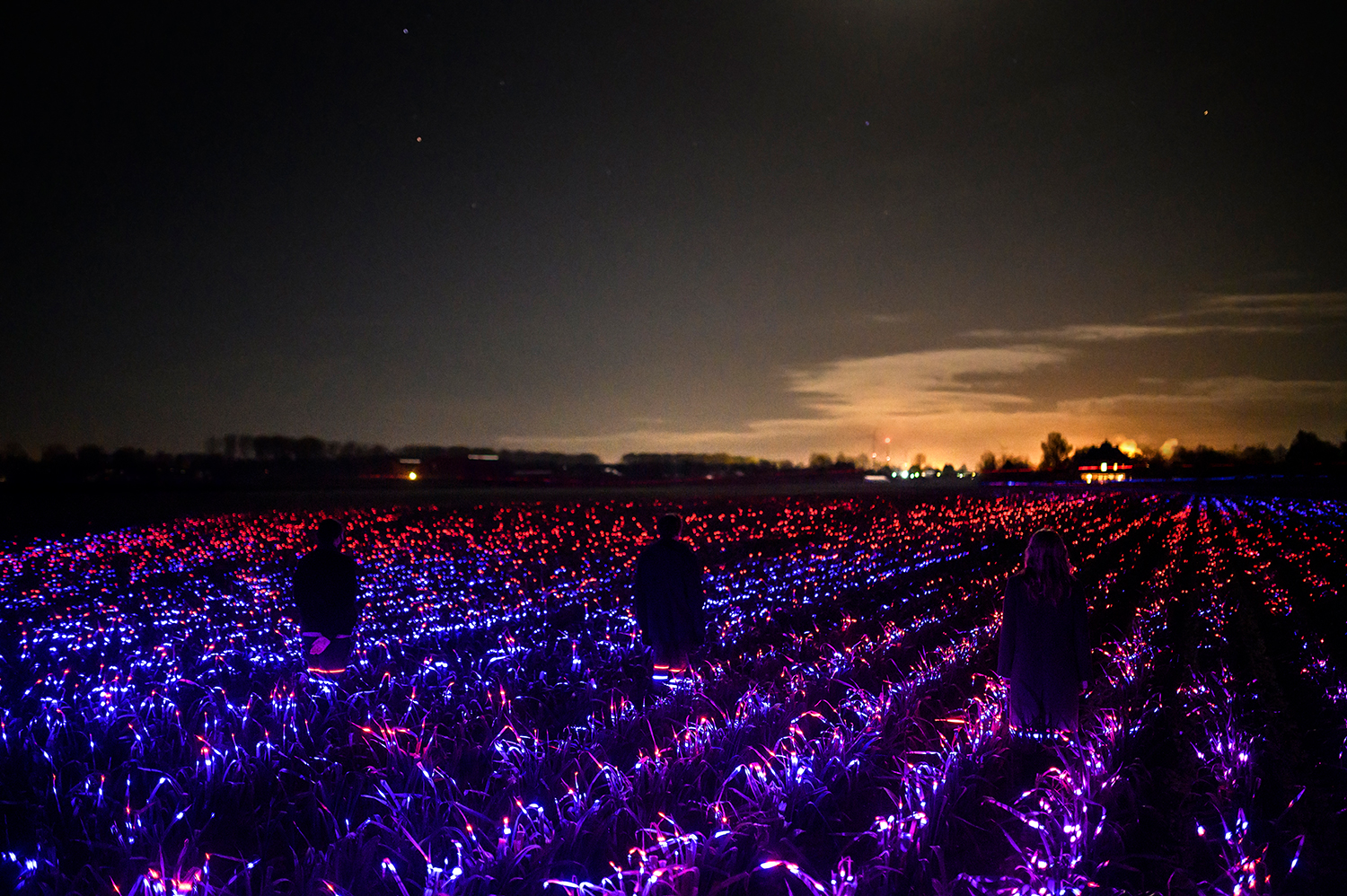 Grow Light Installation / Daan Roosegaarde