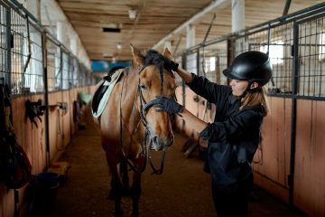 Why Upgrading to Steel Frame Buildings is a Good Idea for your Equestrian Business