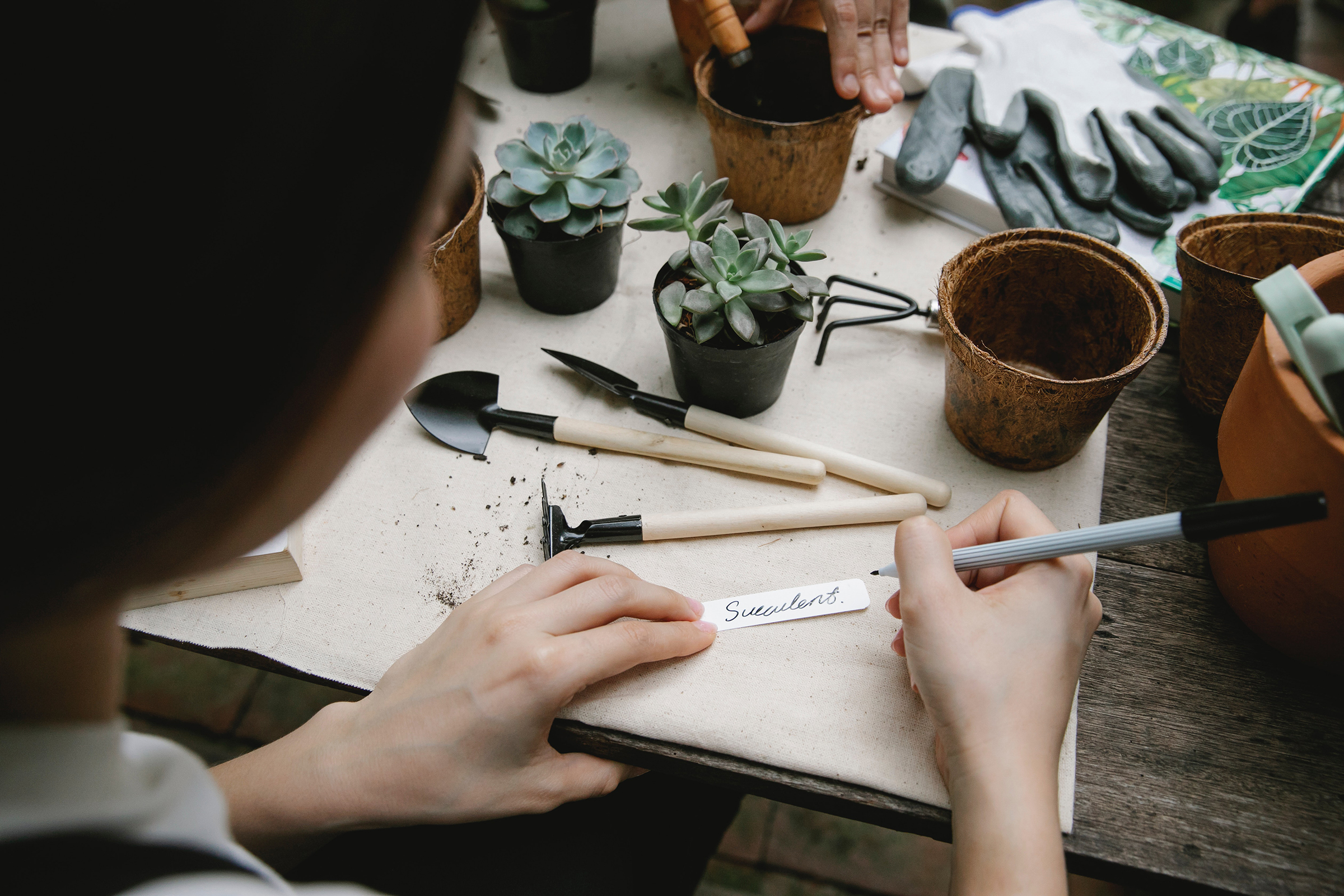 5 Ways to Indulge in Urban Gardening at Your City House or Apartment