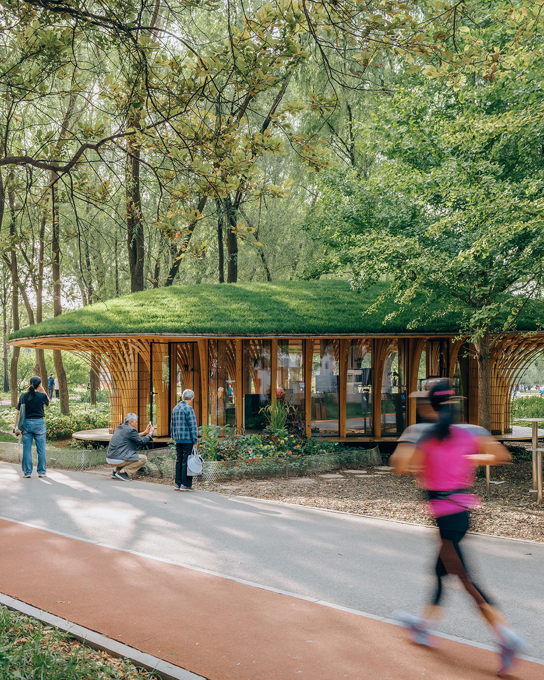 An 84-square-meter café and flower shop in Beijing's Haidian Park is built from thin, standard timber slats — chosen because the park's footpaths couldn't carry the machinery a heavier structure would need. The irregular footprint follows the gaps between existing trees rather than clearing them, and the bundled columns bend outward to carry a wide, woven canopy that reads, without ever aiming to, like a mushroom rising out of the grove. Circular skylights set into the canopy let daylight fall in patches, custom shelves sized to the columns' threaded rods display the flowers, and a planted roof in cold-hardy species keeps its color through the winter months when the rest of the park has gone dormant. LUO studio @luostudio — West Garden Florist — Haidian Park, Beijing
Photography: Jin Weiqi, Zhu Yumeng urdesignmag.com — link in bio #LUOstudio #WestGardenFlorist #HaidianPark #TimberArchitecture #BeijingDesign