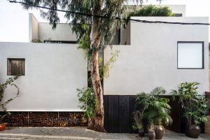 Eucalyptus House, Tel Aviv / Paritzki & Liani Architects