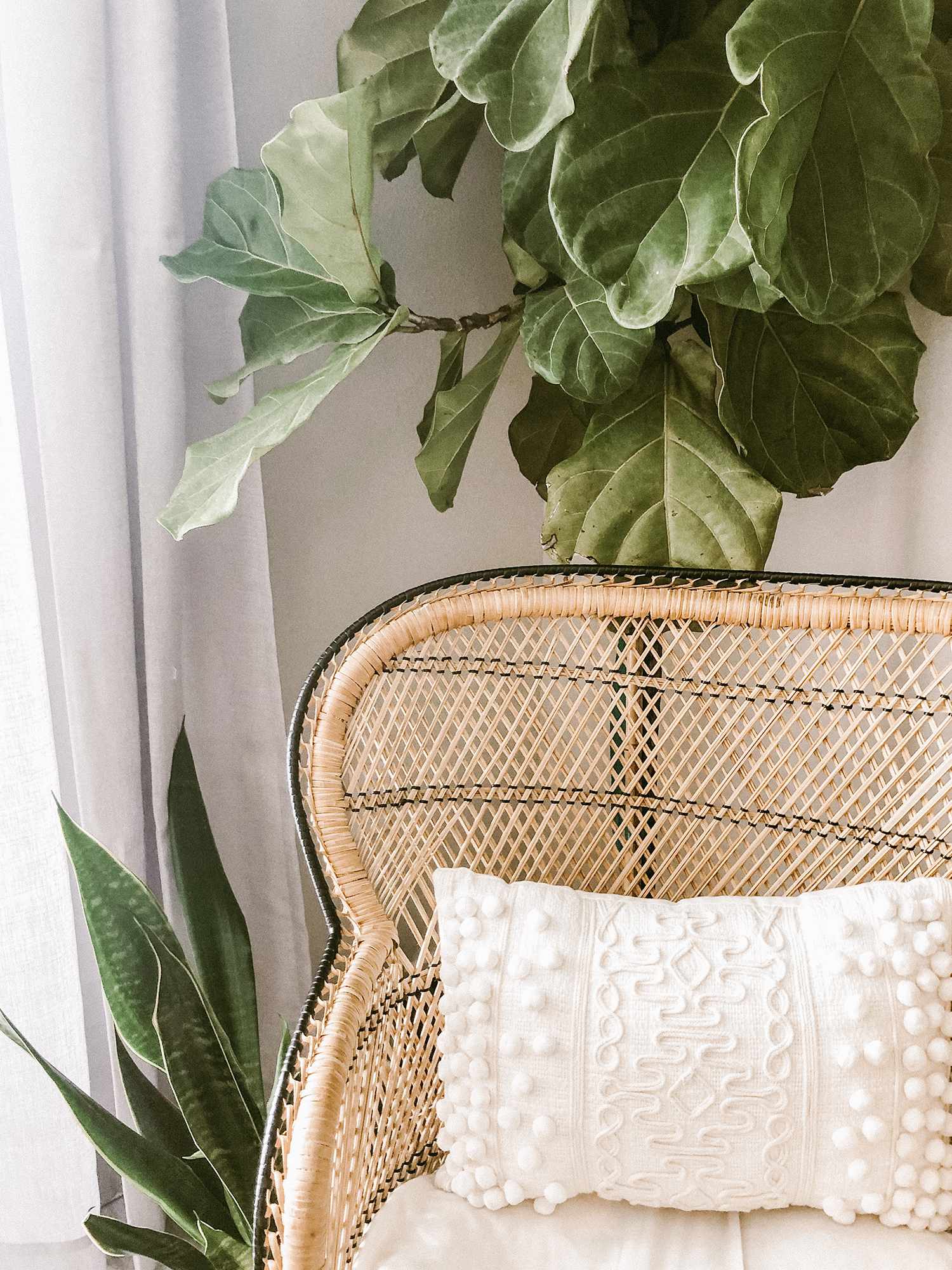 5 Reasons To Embrace Rattan This Spring/Summer Season