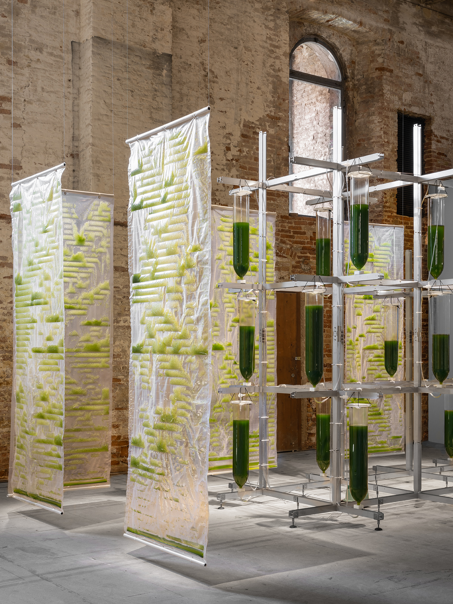 Bit.Bio.Bot exhibition at the Venice Architecture Biennale / ecoLogicStudio