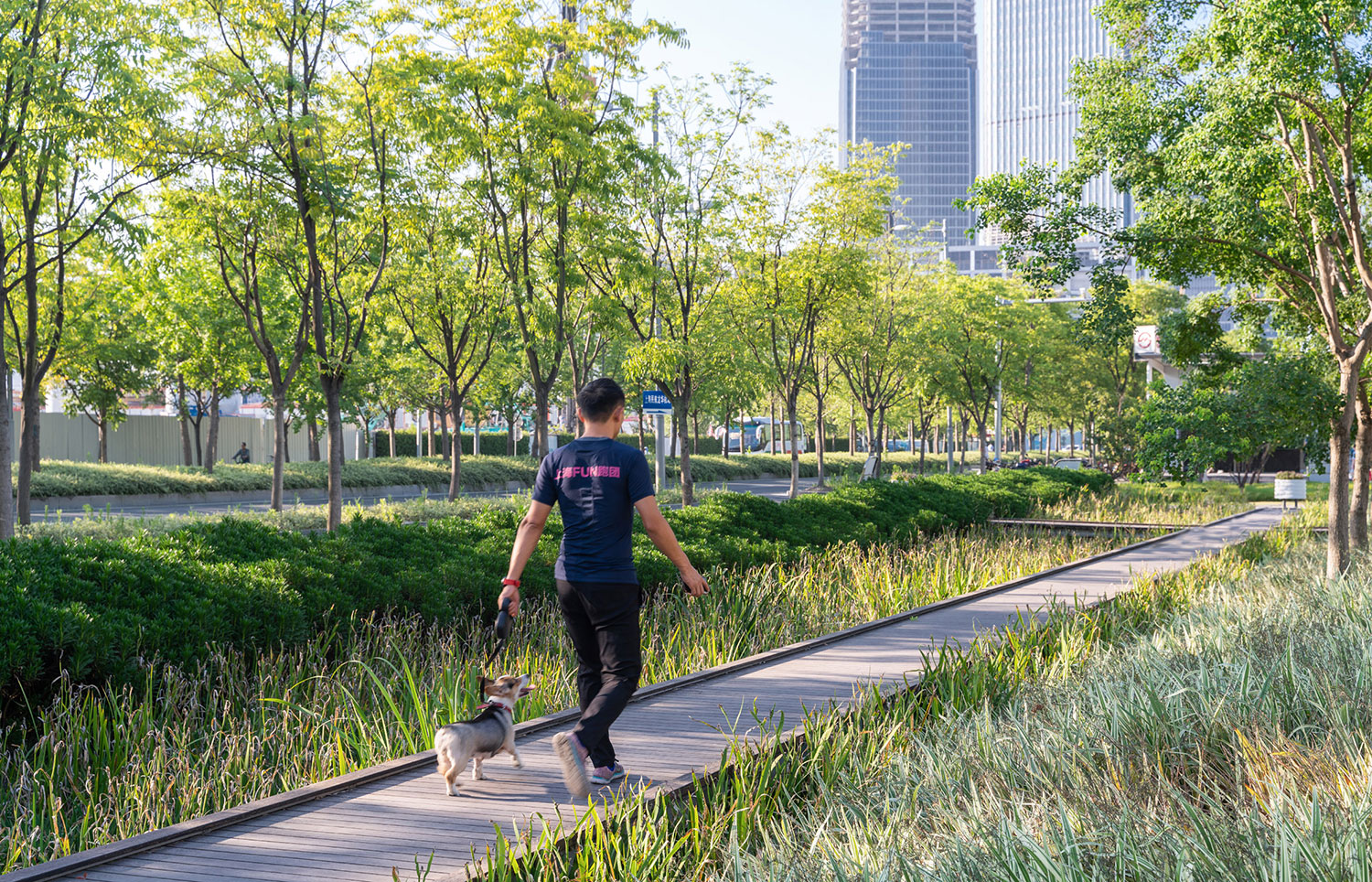 Modern Landscape Design for Public Parks