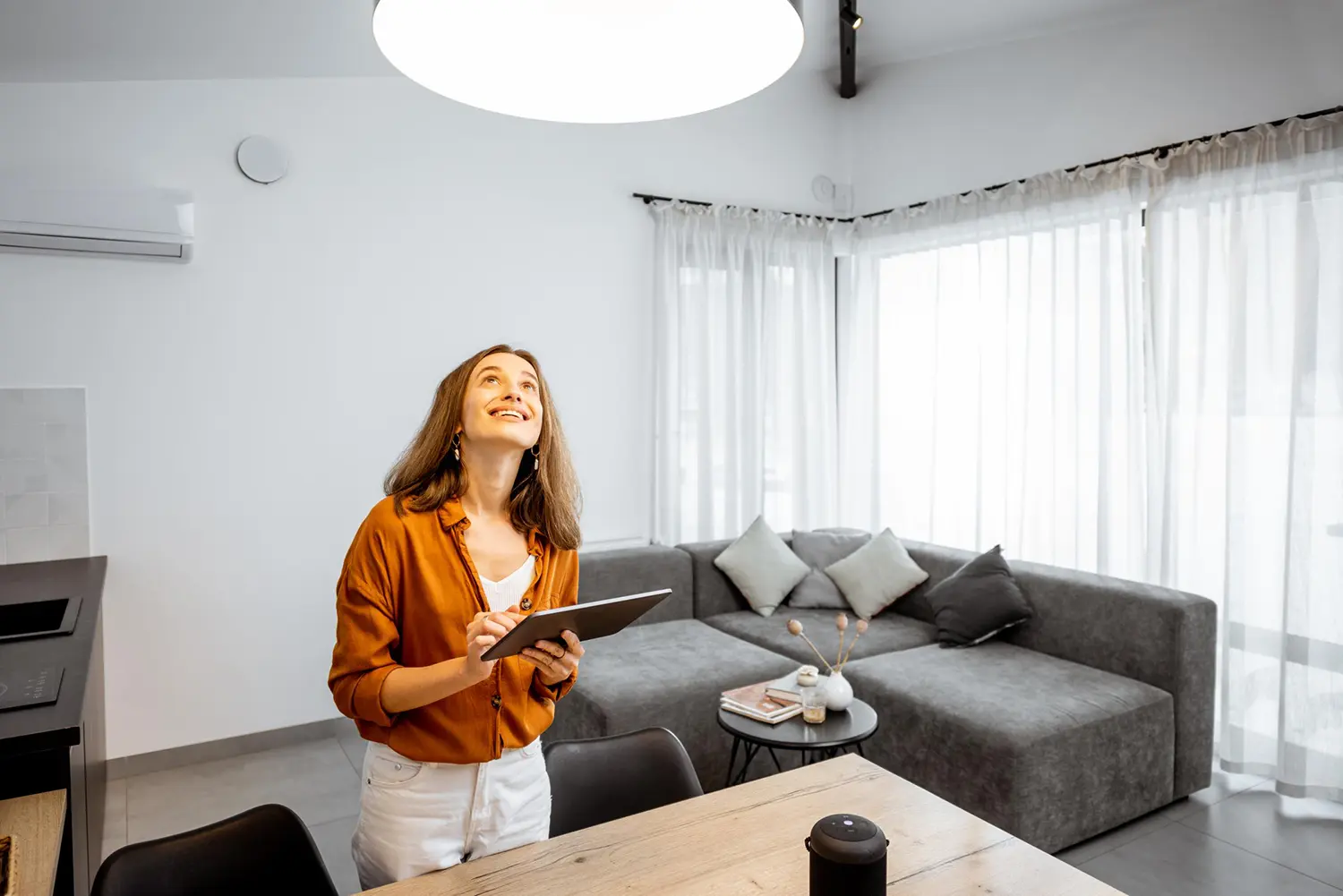 Woman adjusts light with home automation software