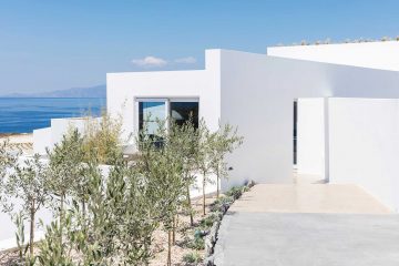 Beach house with olive trees