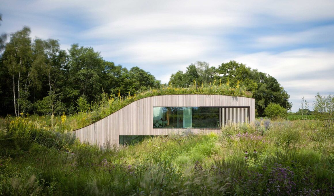 The House Under the Ground, Eindhoven, NL / WillemsenU