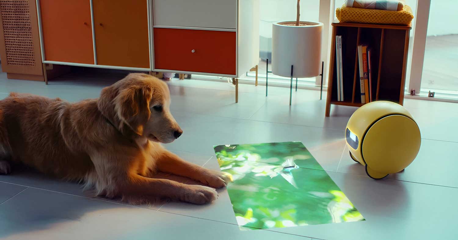 Samsung Introduces Updated AI Robot 'Ballie' at CES 2024 
