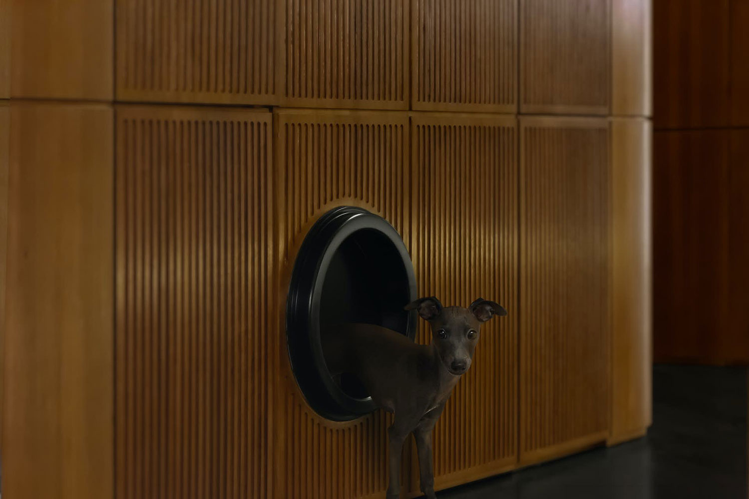 Jackie XU Private Residence, Shanghai, CN / Goldchild Office