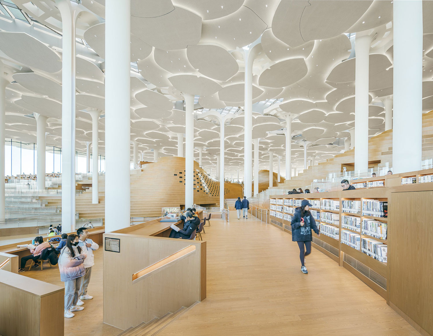 Beijing City Library, China / Snøhetta 