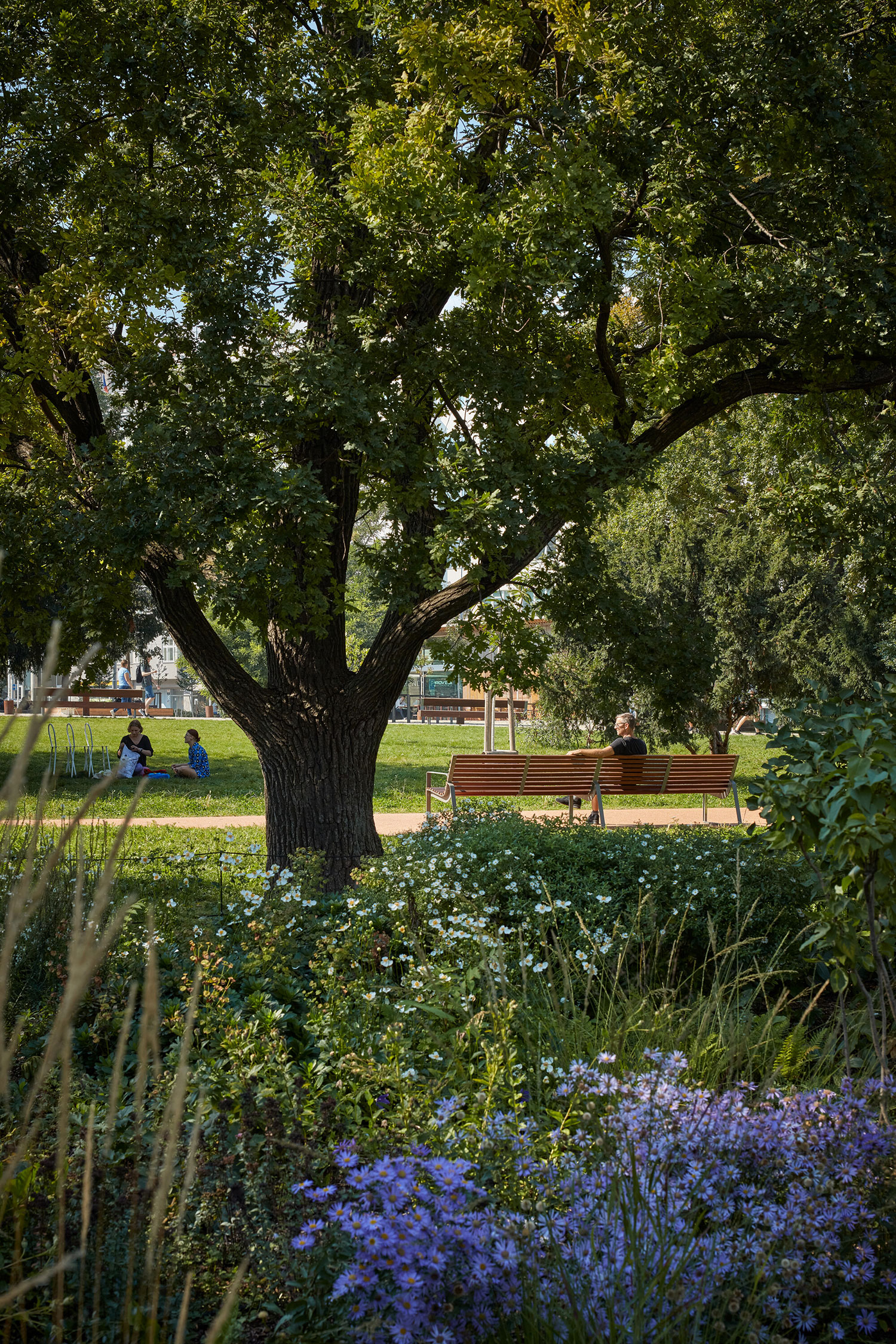 The Moravian Square Park, Brno, DE / Consequence forma architects