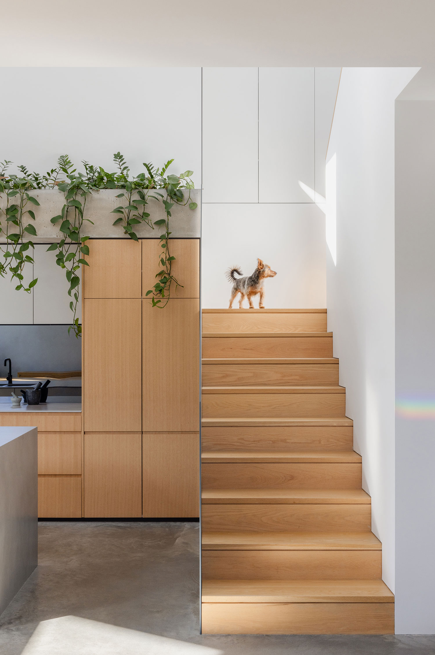 Rosebery Residence, Sydney, AUS / David Parsons Architect