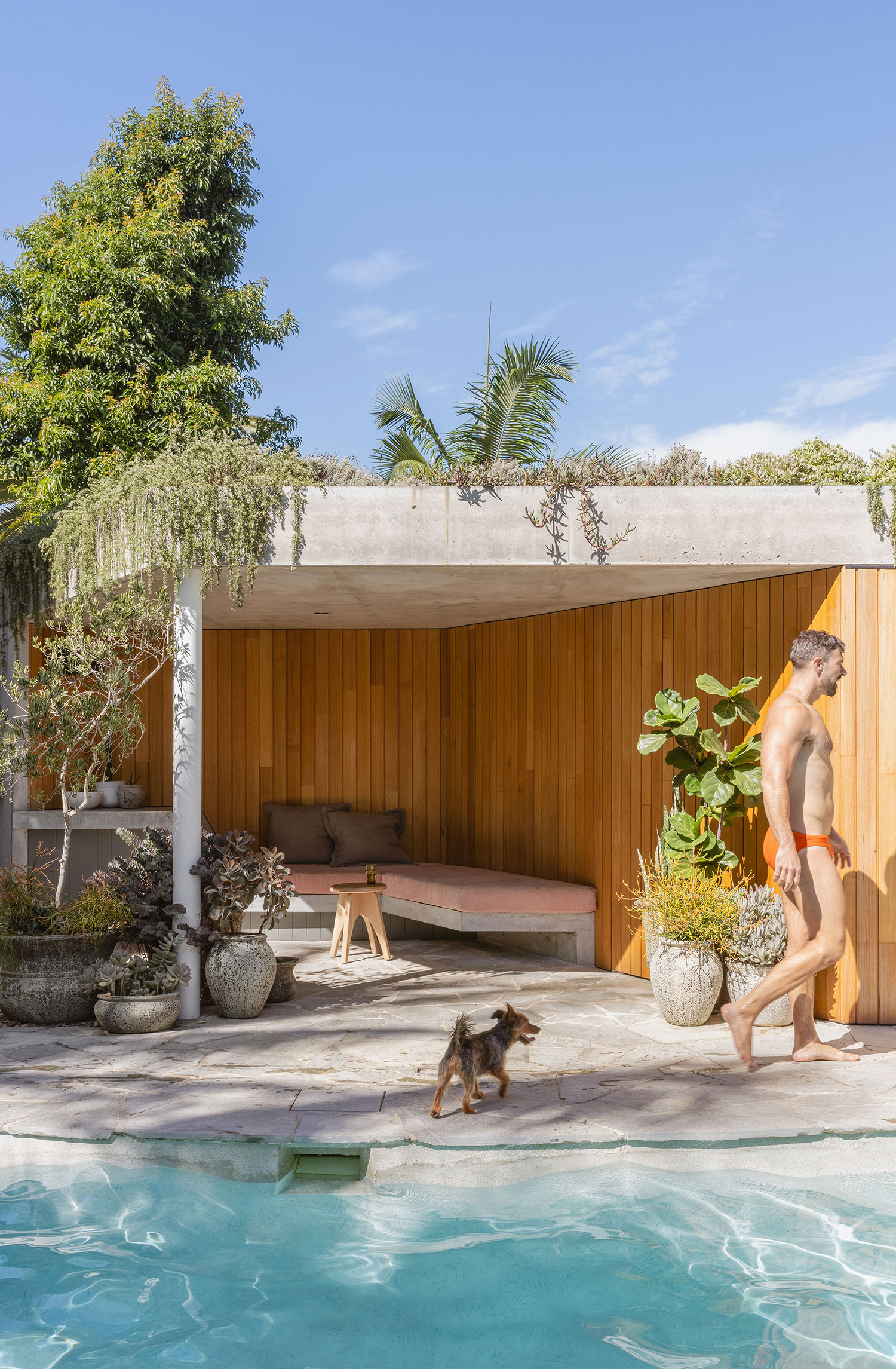 Rosebery Residence, Sydney, AUS / David Parsons Architect