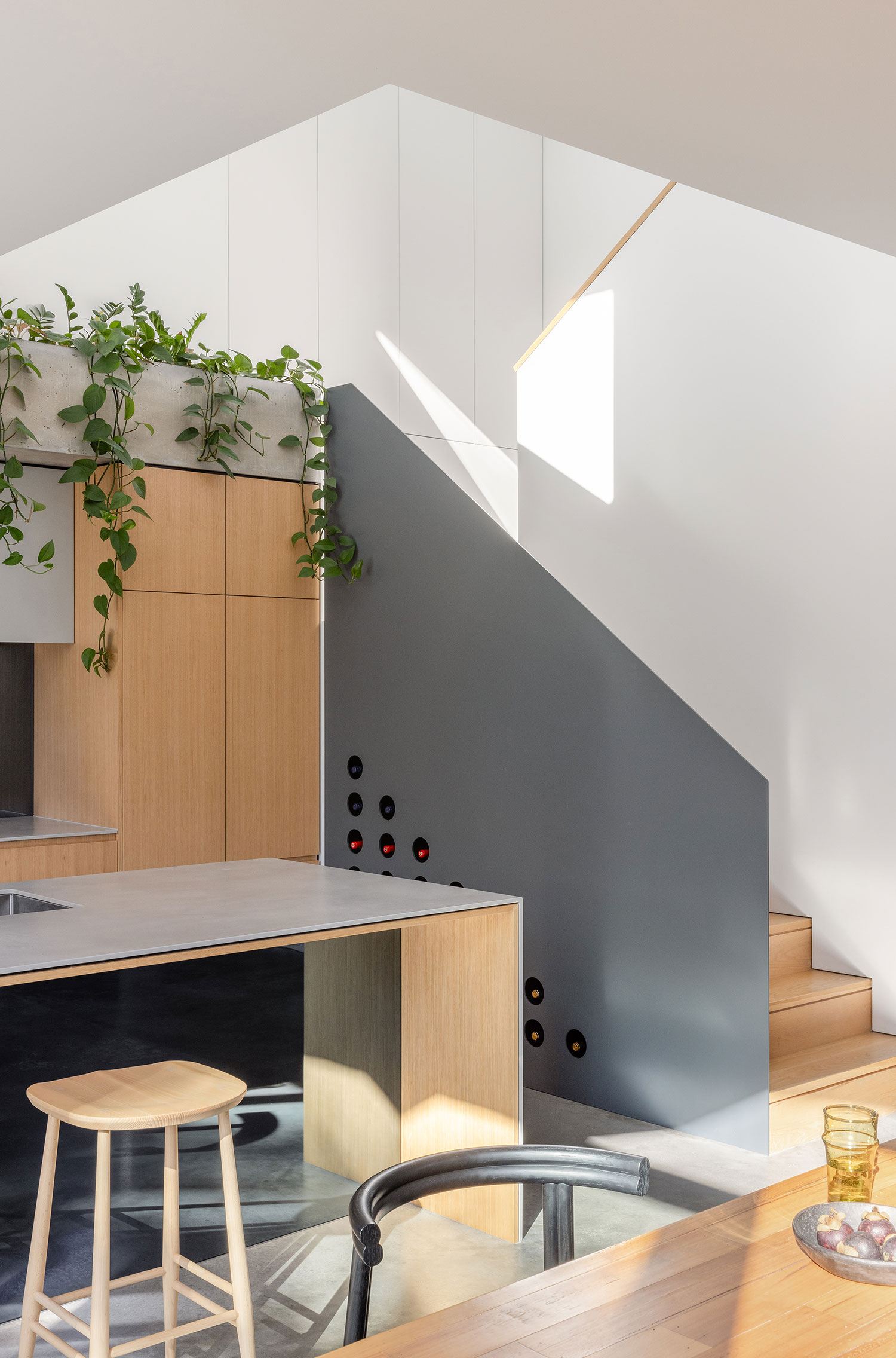 Rosebery Residence, Sydney, AUS / David Parsons Architect