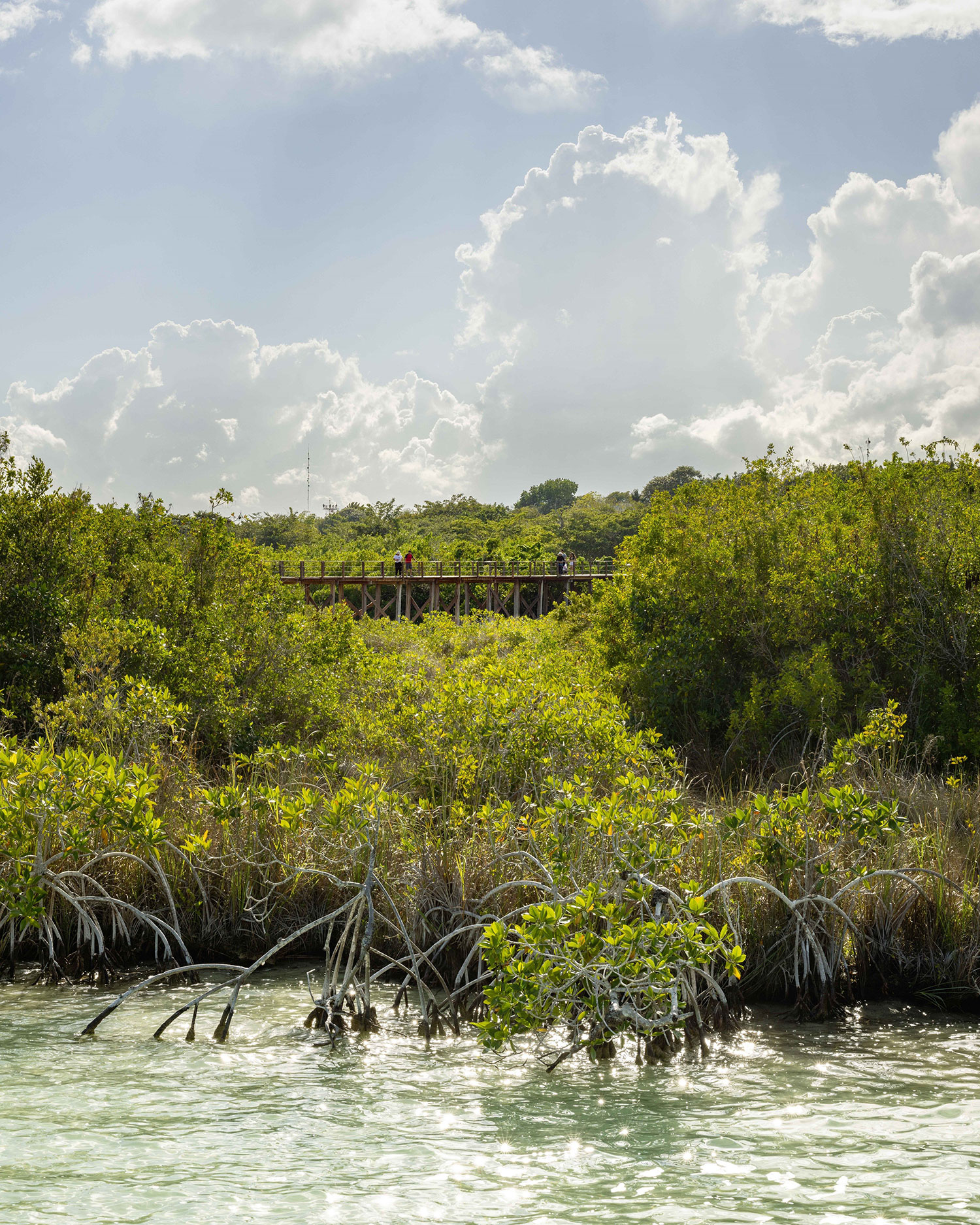 Ecoparque Bacalar, Quintana Roo, MX / Colectivo c733