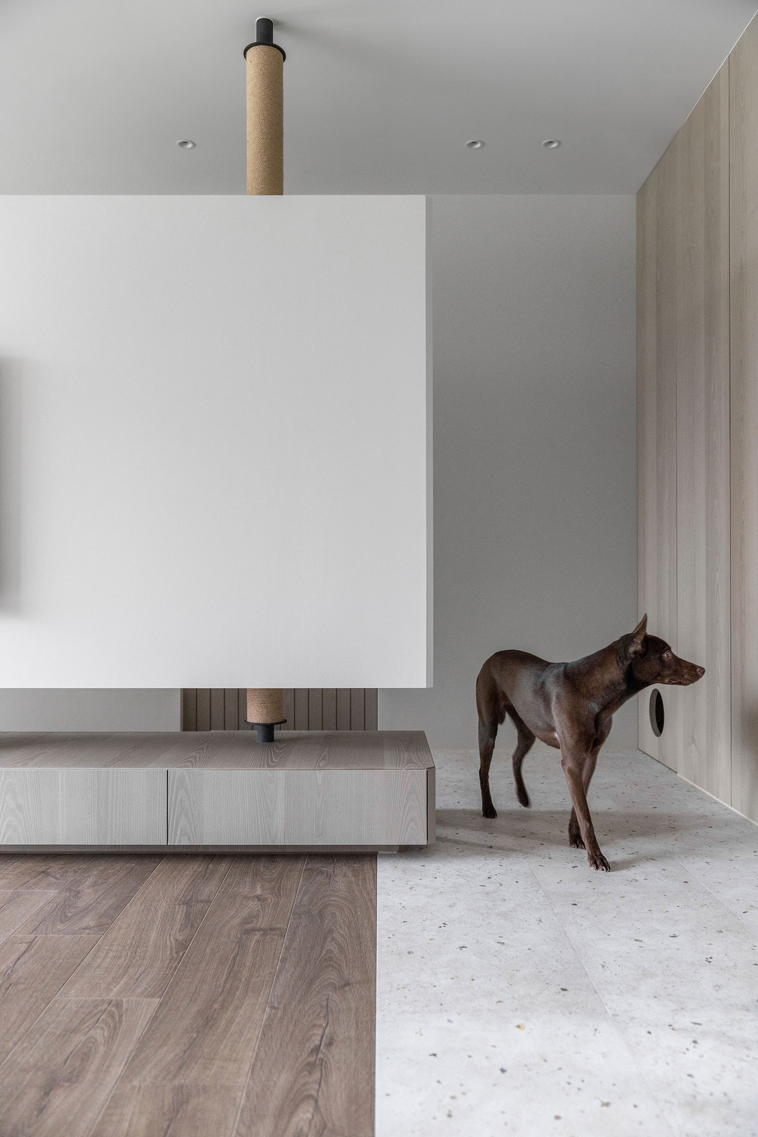 Revolutionary Pet-Friendly Home Design in New Taipei City: "Once Upon a Treetop" by AODA Design