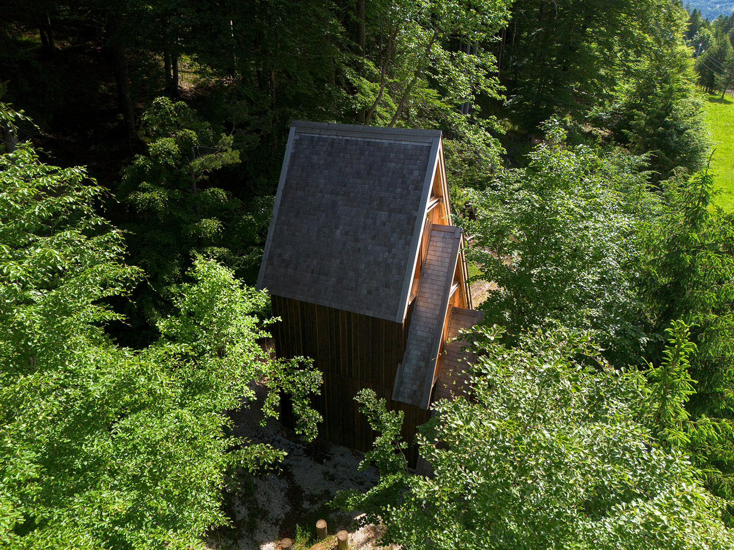 Beltrame Studio Designs A Modern Treehouse Retreat in the Heart of the Alpine Forest
