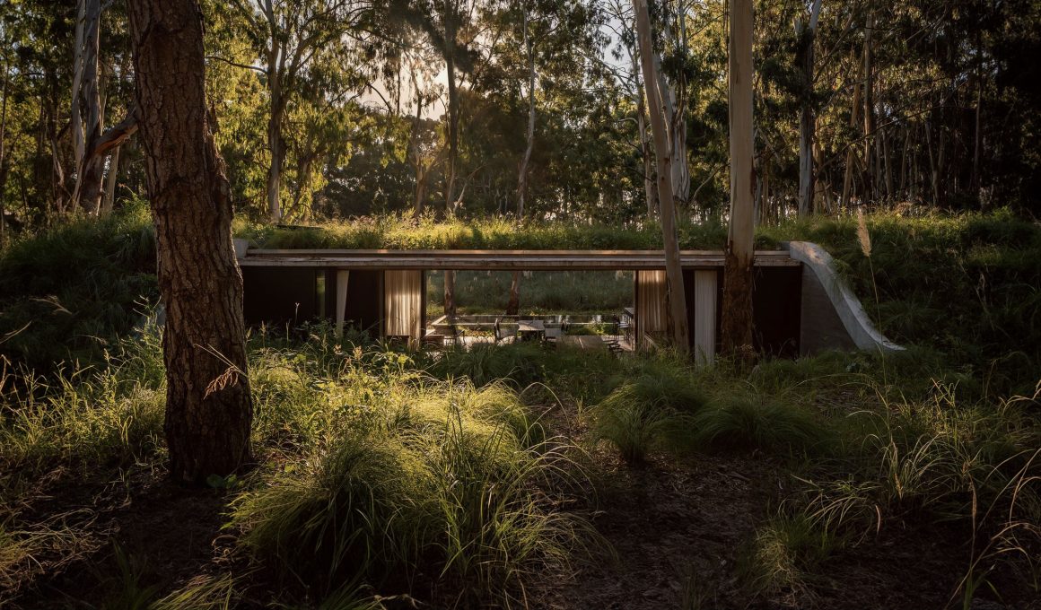 Forest House, Buenos Aires, Argentina / Gonzalo Bardach Arquitectura